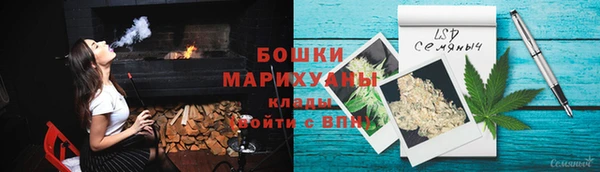стаф Аркадак