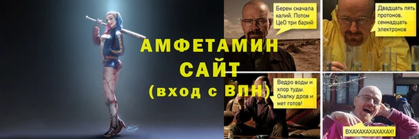 стаф Аркадак
