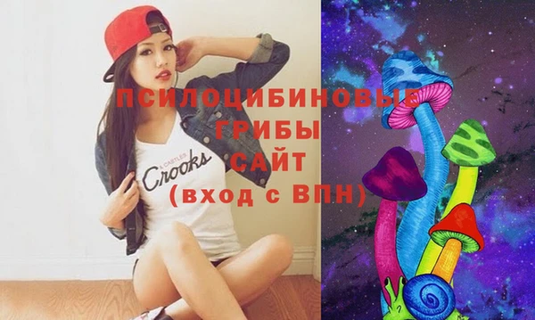 стаф Аркадак