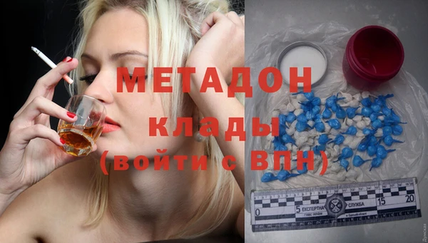 стаф Аркадак