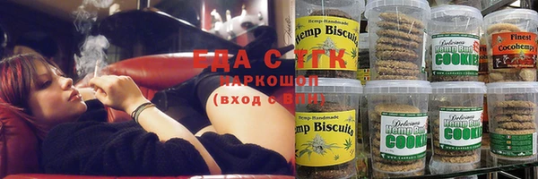 стаф Аркадак