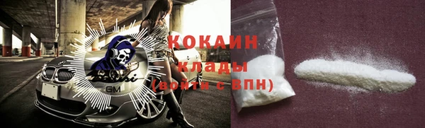 стаф Аркадак